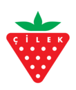 Çilek Mobilya